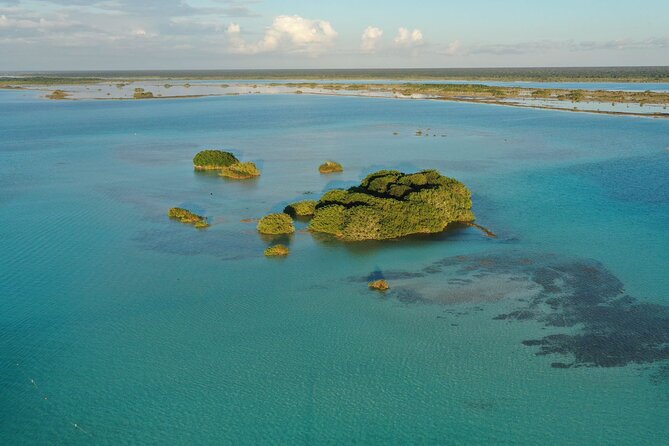 Private Catamaran Tour - Snacks, beer, guacamole lunch, and drinks that actually keep you going