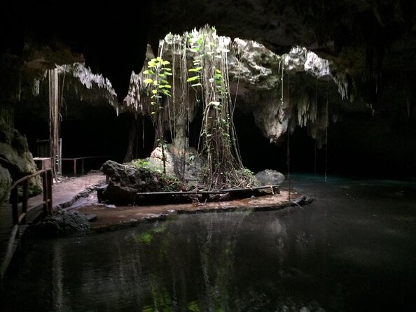 Private Cenote & Cave – Playa del Carmen, Mayan Culture & Fossils - Key Highlights You’ll Actually Notice