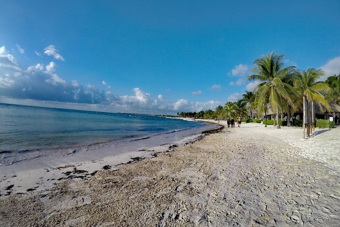 Private Cenote & Snorkeling Tour with Turtles in Akumal - Akumal Bay turtles: what you can expect (and how to maximize sightings)