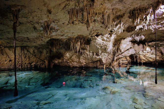 Private Cenote & Snorkeling Tour with Turtles in Akumal - Who should book this private turtle and cenote tour
