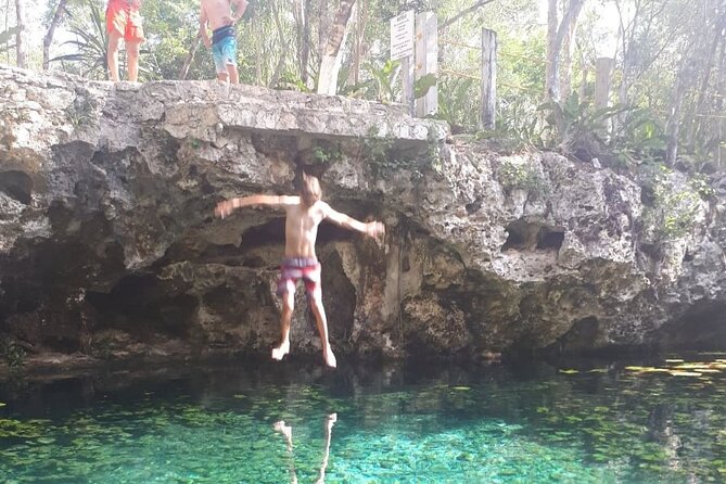 Private Cenotes tour - Stop 2: Casa Cenote natural pool with mangroves and fish