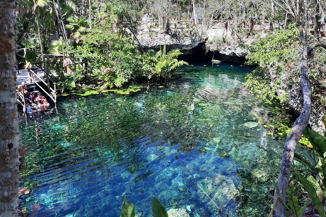 Private Cenotes tour - Guides run the experience, from safety to the best flow