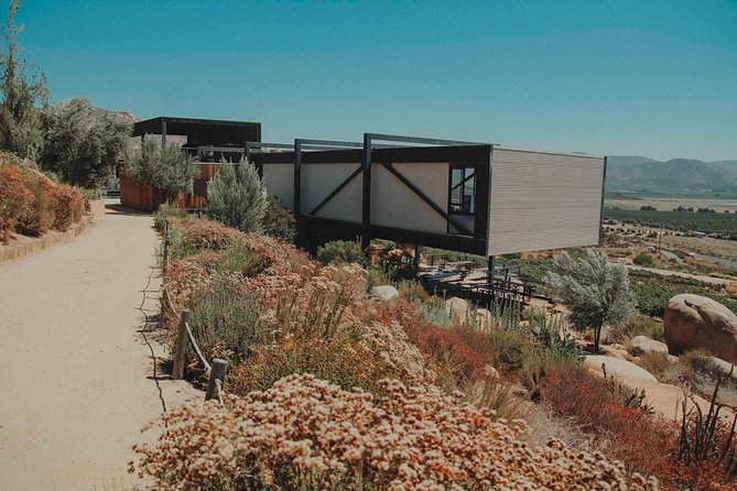 Private Curated Wine Tour in Valle de Guadalupe - How the Day Flows, From Winery Time to Food Time