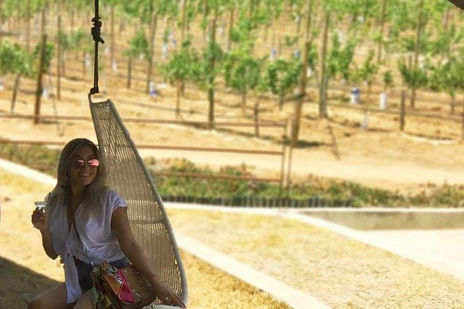 Private Curated Wine Tour in Valle de Guadalupe - Stop 4: Bodegas Magoni and the Oak Tree Tasting Vibe