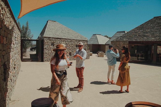 Private Curated Wine Tour in Valle de Guadalupe - Pickup, Ride Comfort, and Why a Private Driver Changes Everything
