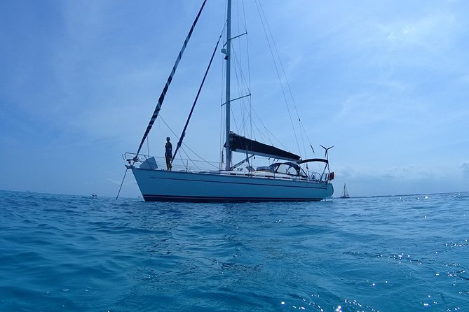 Private Customizable Sailing Tour in Cancun - Sailing the Cancun bay: dolphins, views, and optional fishing