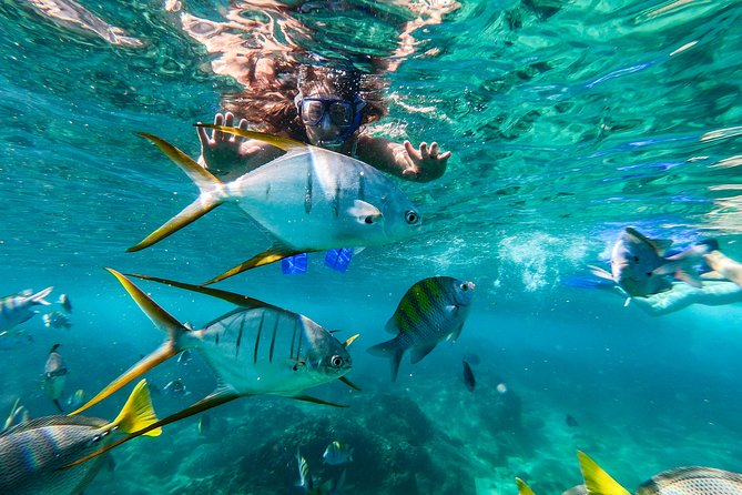 Private Day Trip to San José & Cabo San Lucas - Glass-blowing studio and pearl moments: the side quest worth it