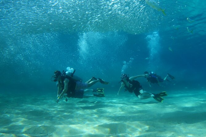 Private Dive Boat for Certified Divers - Cabo San Lucas - Choosing underwater sites based on conditions and comfort