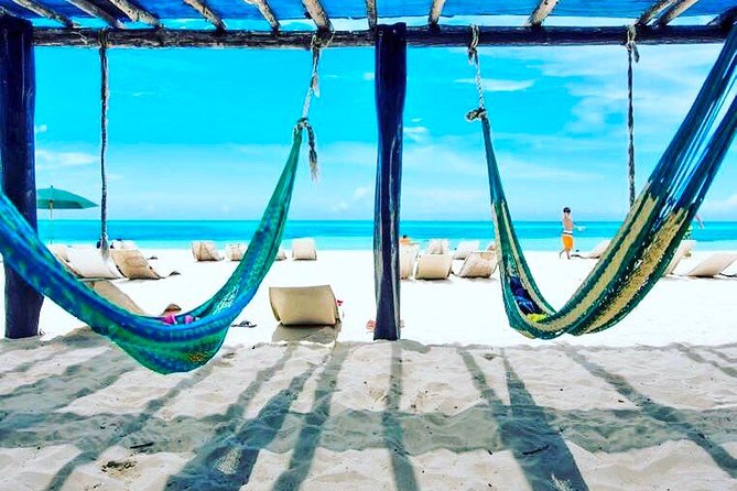 Private Dune Buggy & Snorkel Tour: All-Inclusive - Private dune buggy: driving vs riding, and the vehicle reality