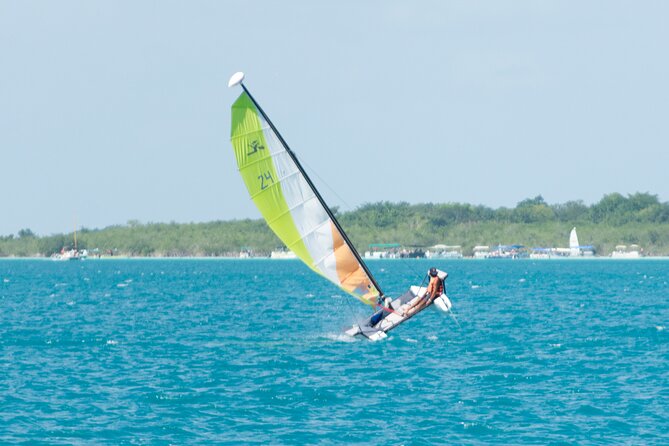 Private Eco-Tour on a Recreational Catamaran with Kayaks Included - Price and value: $199 for up to 5 people