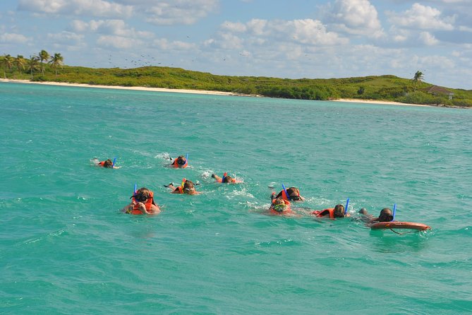 Private Escape: Isla Contoy & Isla Mujeres with Snorkeling - Isla Contoy National Park: the bird island and the calmer side of the sea