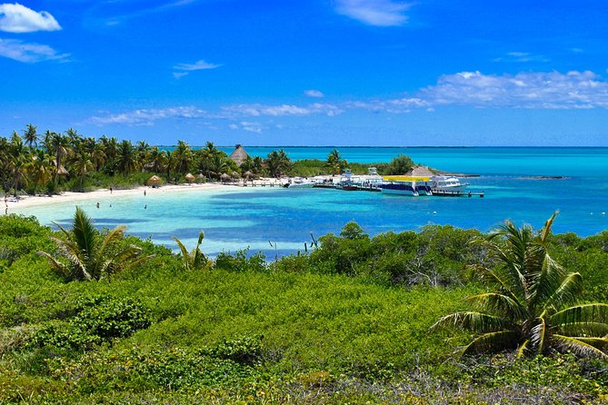 Private Escape: Isla Contoy & Isla Mujeres with Snorkeling - The Mesoamerican Reef snorkeling stop: what you are really paying for