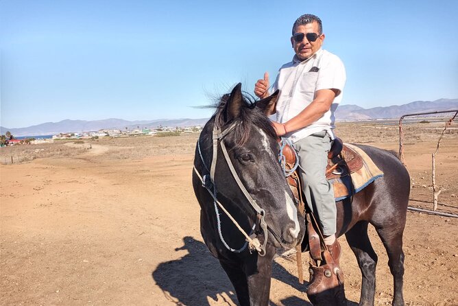 Private excursion to the bufadora and horseback riding on the beach - La Bufadora and the market: big nature show plus shopping strategy