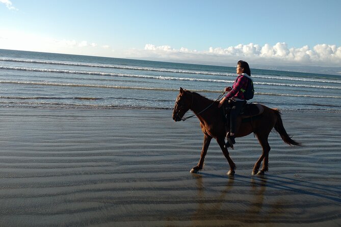 Private excursion to the bufadora and horseback riding on the beach - Who should book this (and who might want to adjust expectations)