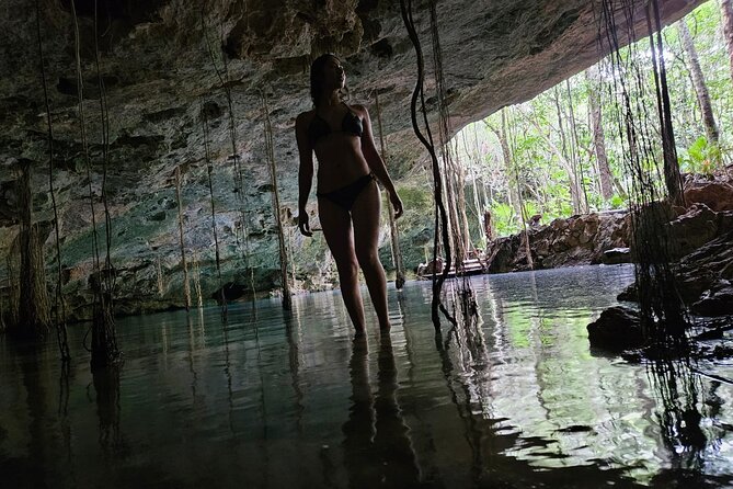 Private experience 5 cenotes at Riviera Maya - Key Highlights You’ll Care About