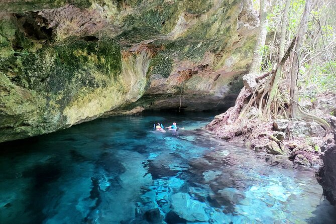 Private experience 5 cenotes at Riviera Maya - Private 5 Cenotes Near Playa del Carmen, Built for a Real Day