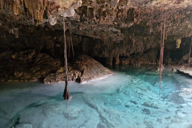 Private experience 5 cenotes at Riviera Maya - Jungle Walking, Bathrooms, Lockers, and the Shower-First Rule