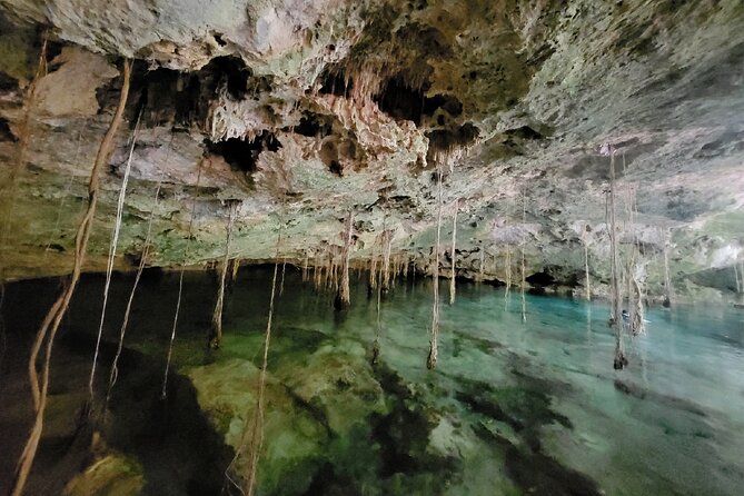 Private experience 5 cenotes at Riviera Maya - Snorkeling Gear, Life Jackets, and the Aquatic Hand Lamp