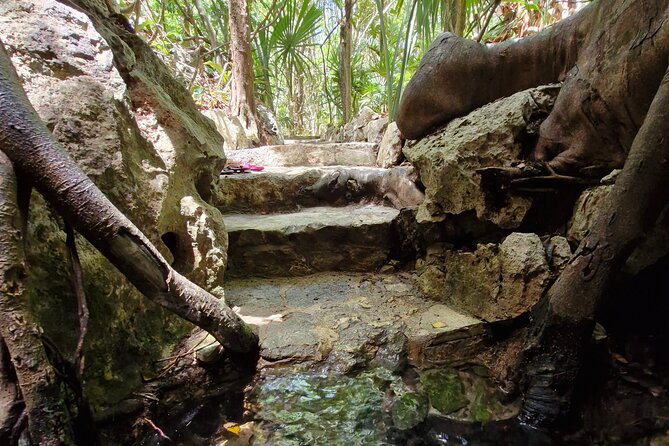 Private experience 5 cenotes at Riviera Maya - The Real Value of Paying $150 Per Person