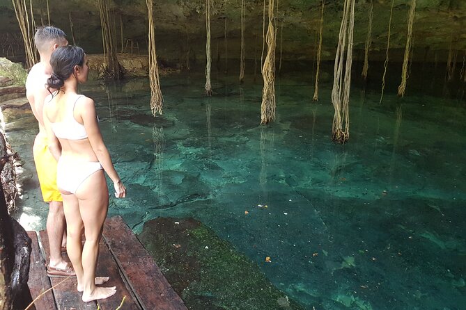 Private experience 5 cenotes at Riviera Maya - Meeting Roy and Heading to the Jungle Cenote Area