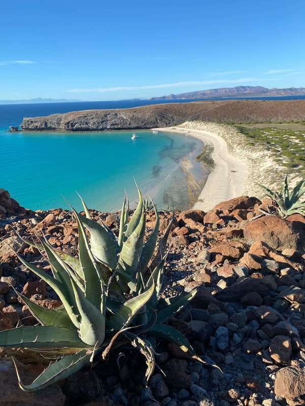 Private experience from Cabo San Lucas to La Paz: (Balandra beach) - Todos Santos stroll: art, history, and time to breathe