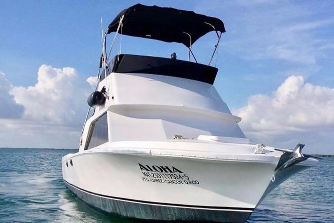 Private fishing charter Bertram 31ft 6 pax max if you don't fish you don't pay - What you might catch near Cancun and Isla Mujeres
