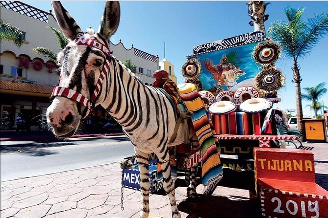 Private Full-Day Guided Tour of Tijuana - Budget reality: how the food and drinks costs work