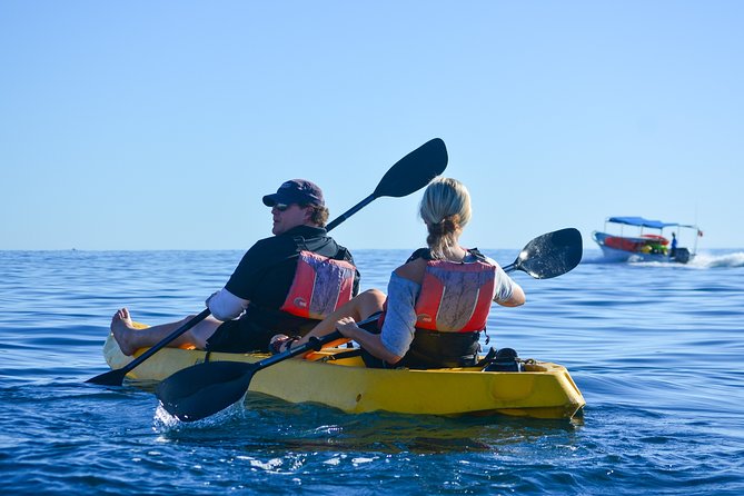 Private Glass bottom Kayak and snorkel at two Bays - Price and value: what $130 includes, and what to budget separately