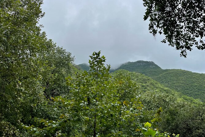 Private/Group Cola de Caballo Waterfall & Santiago (Premium SUV) - Mirador de Santiago and La Boca Dam: the viewpoint that ties the day together