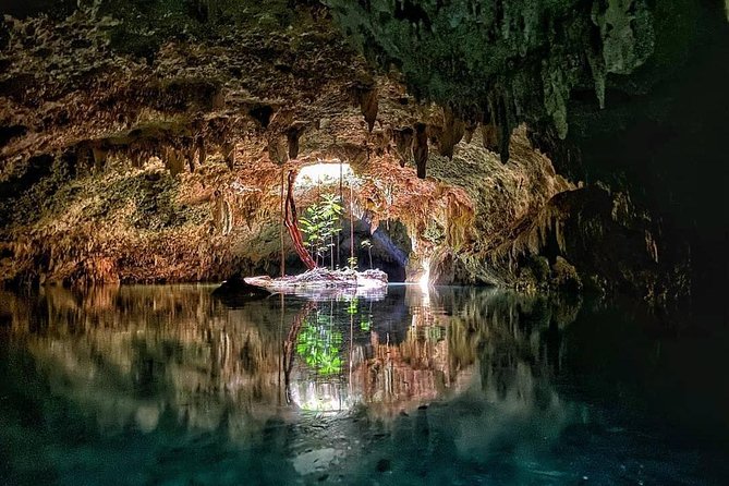 Private Guided Cenotes and Underground River Exploration - Your half-day schedule in plain terms (about 5 hours)