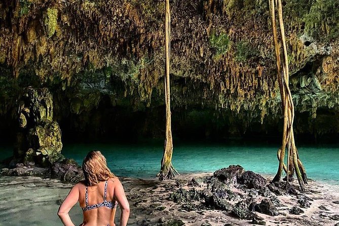 Private Guided Cenotes and Underground River Exploration - Chemuyil open cenote: snorkeling in a jungle pool with fish and views