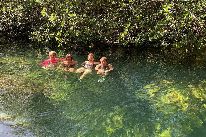 Private Half Day Cultural Tour to Mayan Ruins and Cenote - Cenote Aerolito de Paraiso, short, natural, and included