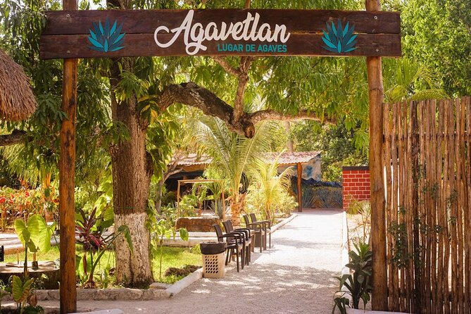Private Jeep and 4x4 Polaris RZR Tour with Mexican Lunch - Coco’s Beach Club lunch: where you refuel and reset