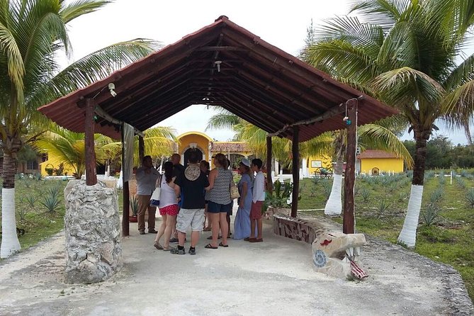 Private Jeep Excursion in Cozumel with Lunch and Snorkeling - Chankanaab Reef Park: Where Snorkeling Fits In