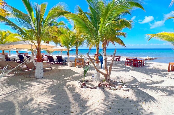 Private Jeep or Buggy Tour Snorkeling Maya Park and Tacos - Tacos, Tortillas, and the Tequila Honey Chocolate Lineup