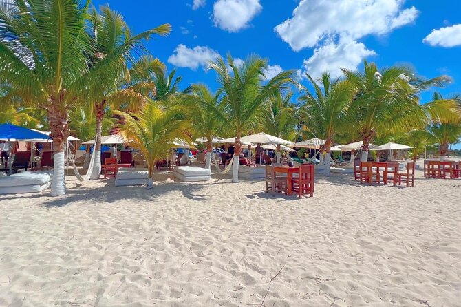 Private Jeep or Buggy Tour Snorkeling Maya Park and Tacos - Price and Value: Why $79 Works for the Right Person