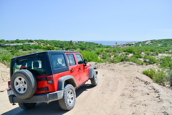 Private Jeep Tour Cabo Pulmo - Playa de Arbolitos snack break: small pause, big difference