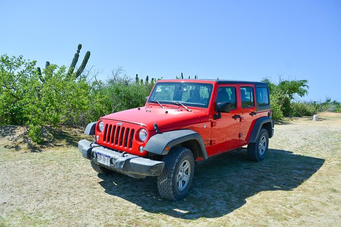Private Jeep Tour Cabo Pulmo - Miraflores lunch at Los Agaves: simple Mexican, done right
