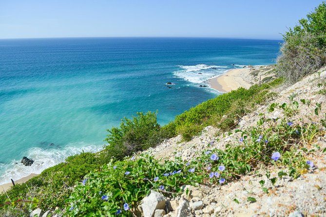 Private Jeep Tour Cabo Pulmo - Transportation, timing, and what to pack for a smoother day