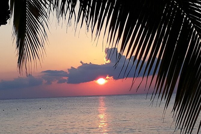 Private Jeep Tour in Cozumel - Quick Photo Stops on the East Side: San Martin and Chen Rio