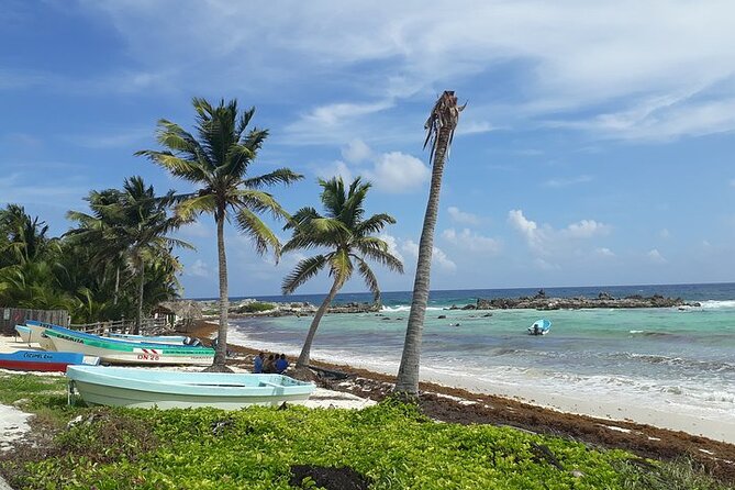 Private Jeep Tour in Cozumel - Punta Sur Eco Beach Park: Crocodile Lagoon, 132 Steps, and Lighthouse Views