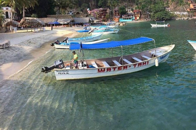Private Los Arcos Snorkel and Beach Tour from Puerto Vallarta - Who this private Los Arcos and Las Ánimas tour is best for