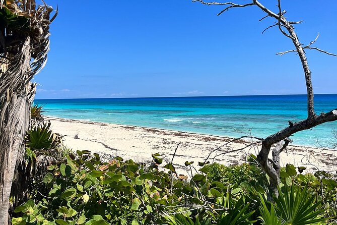 Private Mayan Ruins Tour with Cenote/caves and Mexican Picnic - El Cedral and Cozumel Jungle Roads: Small Ruins With Real Context