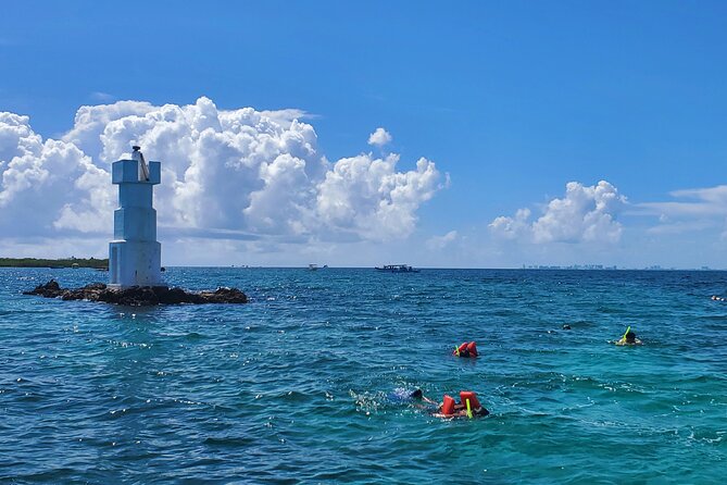 Private MUSA Snorkeling Experience at Isla Mujeres and Cancun - Why a private MUSA snorkel feels different in Isla Mujeres