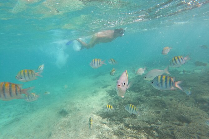 Private MUSA Snorkeling Experience at Isla Mujeres and Cancun - Snorkeling equipment, boat comfort, and staying in control