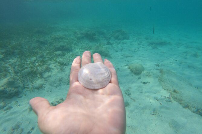 Private MUSA Snorkeling Experience at Isla Mujeres and Cancun - The rest of your 4 hours: cruise, swim time, and onboard drinks