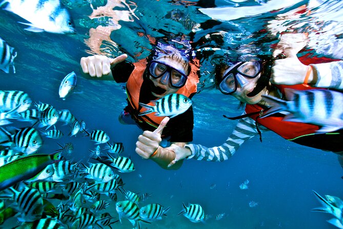 Private MUSA Snorkeling Experience at Isla Mujeres and Cancun - Price and value: $550 per group, up to 12 people