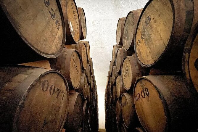 Private One Day Adventure Tour in Tequila and La Fortaleza Distillery - Food, alcohol, and staying comfortable (especially if you skip lunch)