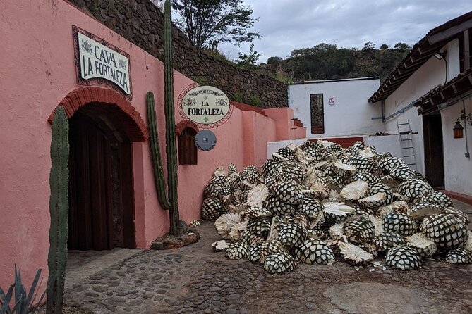 Private One Day Adventure Tour in Tequila and La Fortaleza Distillery - Price and value at $191.16 per person