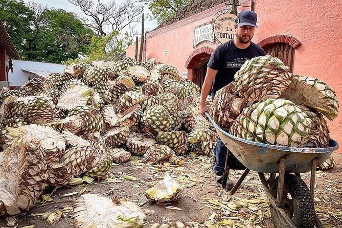 Private One Day Adventure Tour in Tequila and La Fortaleza Distillery - Pickup and timing: the real meaning of 6 to 7 hours